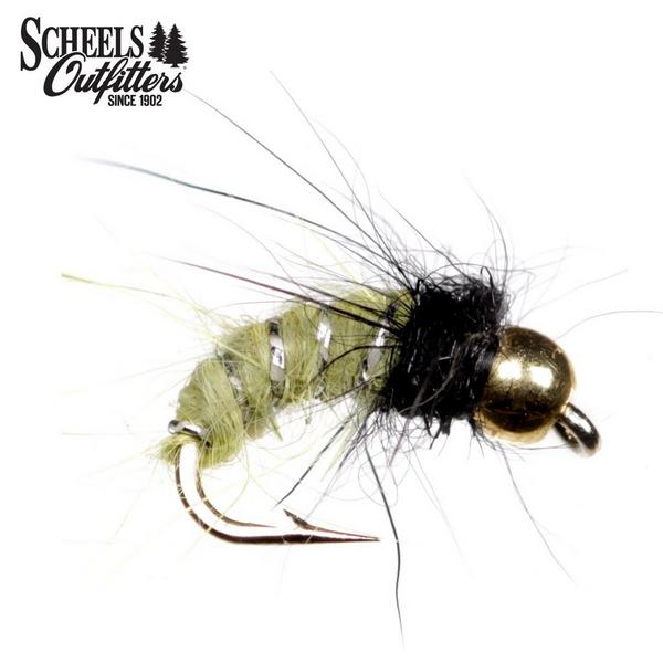 SCHEELS OUTFITTERS Caddis Larva Bead Head Nymph Fly