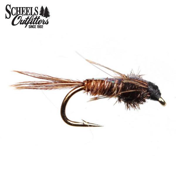 SCHEELS OUTFITTERS Pheasant Tail Flash Back Nymph Fly