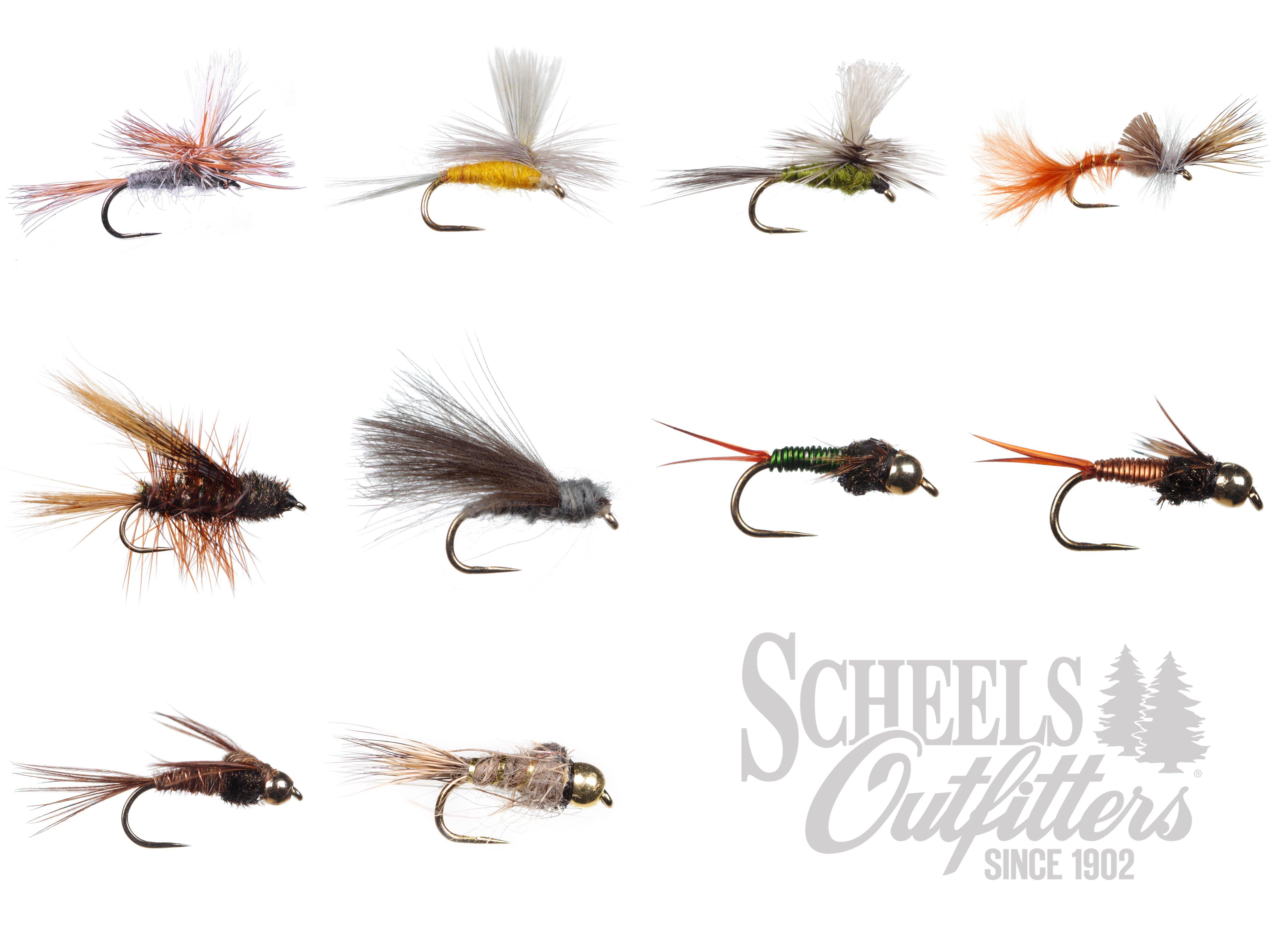 Scheels Outfitters Assorted Mayfly Life Cycle Barbless Fly Variety Pack