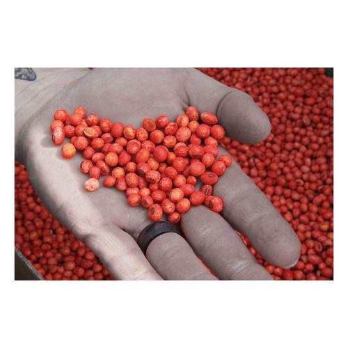 RWWP Gen 2 Soybean Blend Food Plot Seed - Primary Image