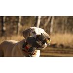 Premium Plush Fritz Walrus Dog Toy - Thumbnail 4 of 5