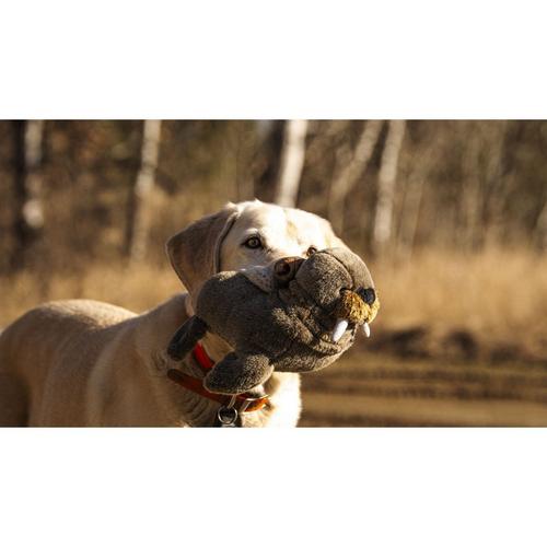 Premium Plush Fritz Walrus Dog Toy - Primary Image