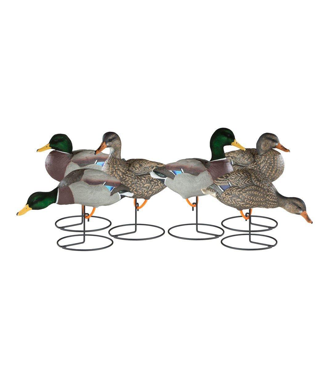 Dakota Decoys Mallard Full Body 6-Pack - Dakota Decoy
