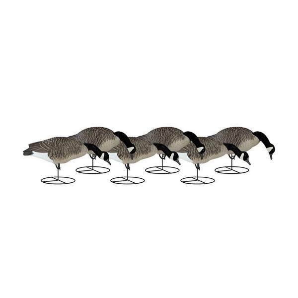 Dakota Decoy Signature Series Goose 6-Pack