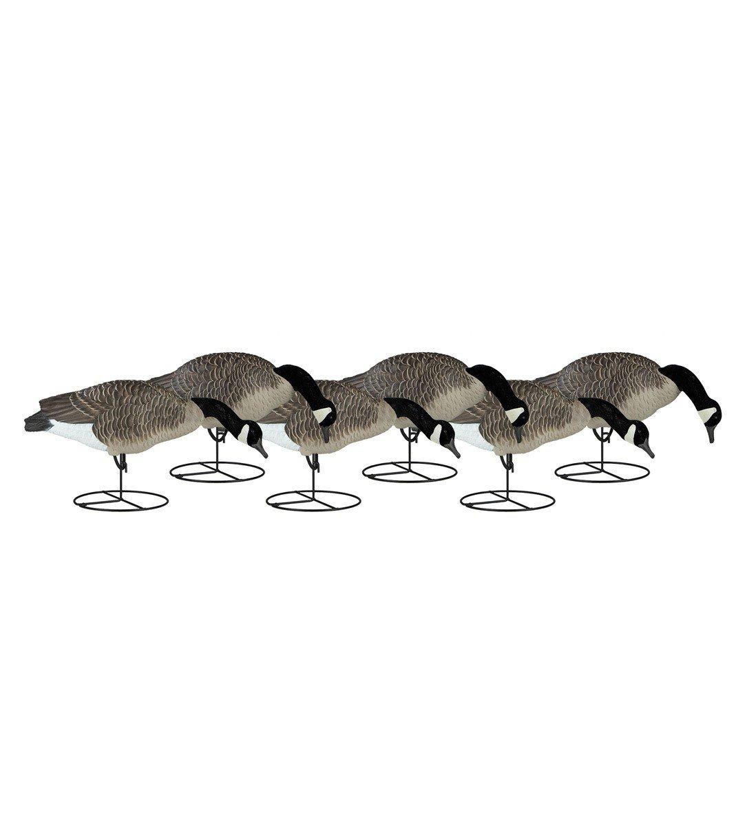 Dakota Decoy Signature Series Goose 6-Pack - Dakota Decoy