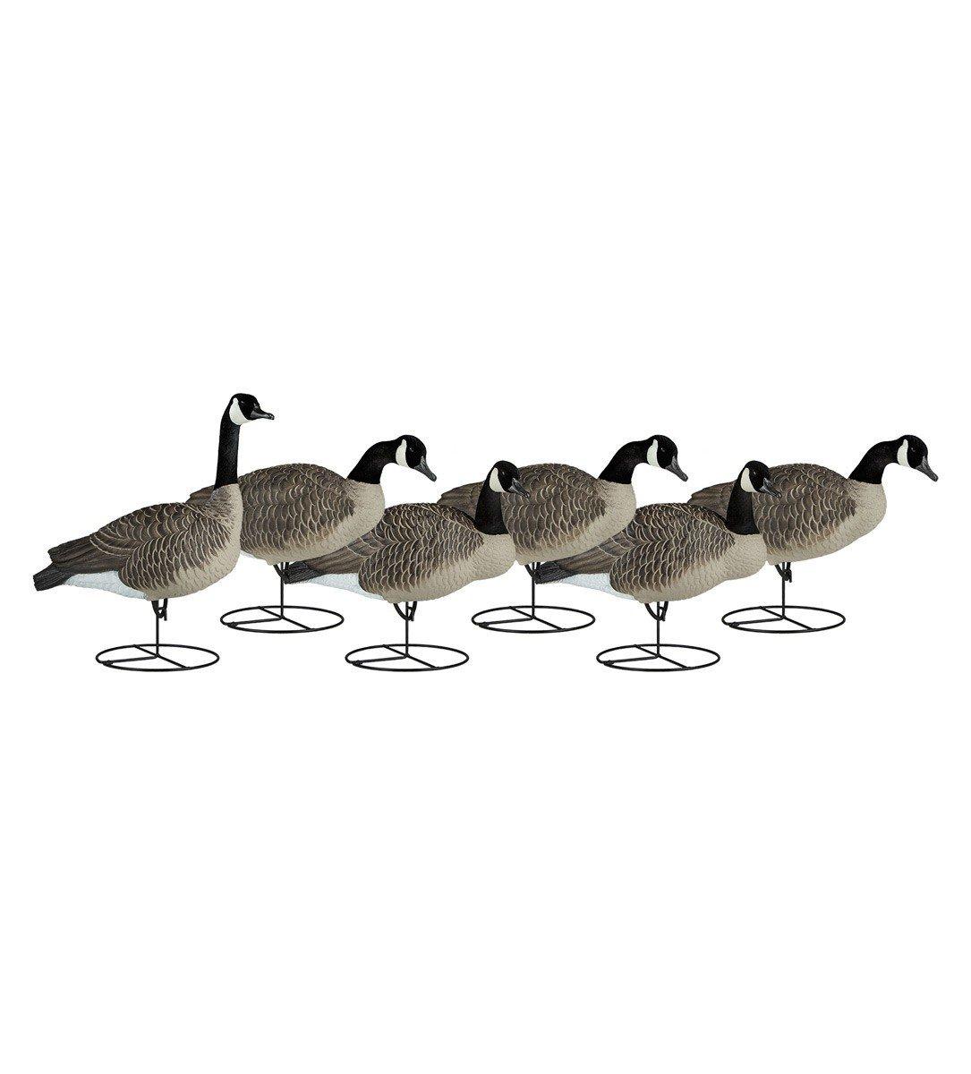 Dakota Decoy Signature Series Goose 6-Pack - Dakota Decoy