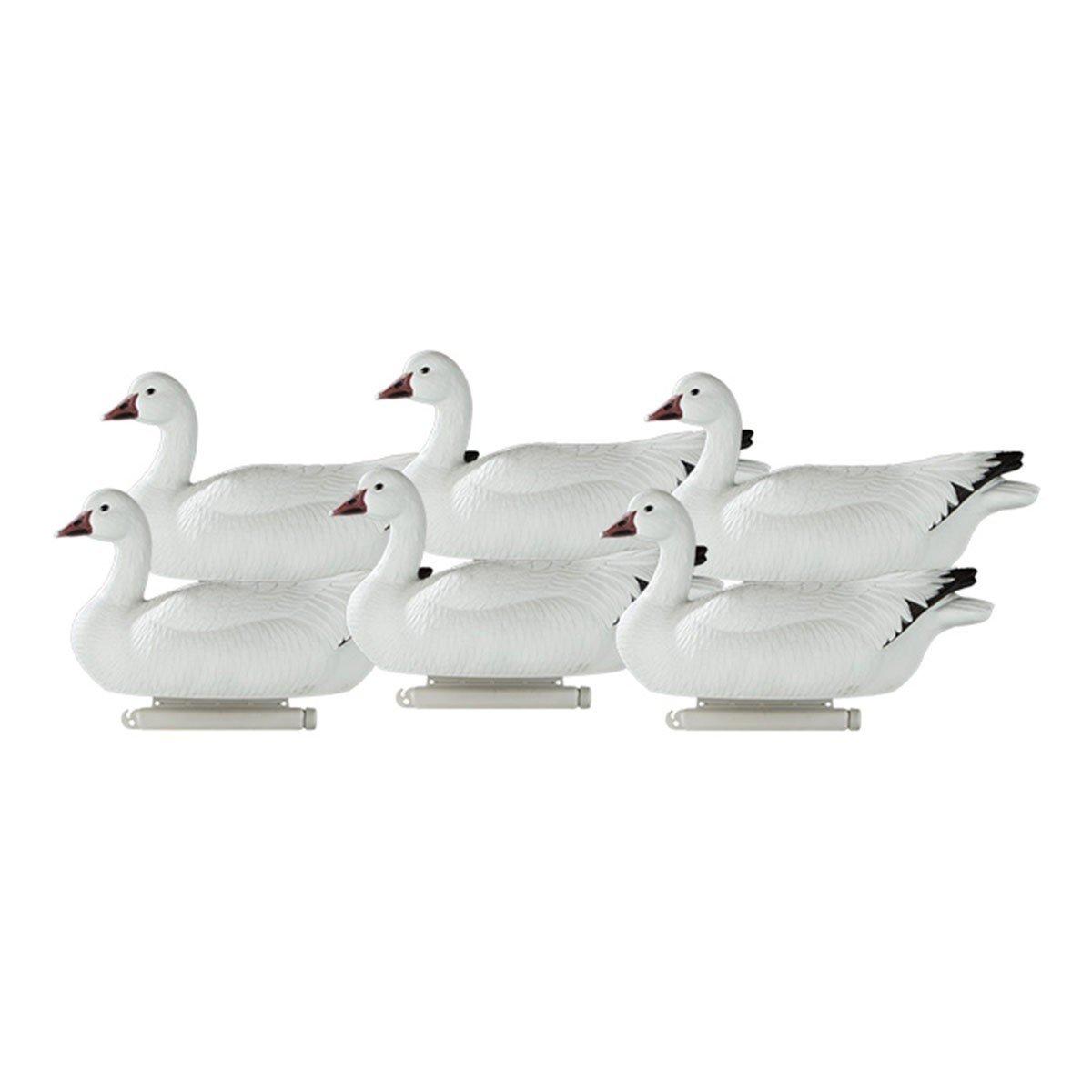 Dakota Decoy Snow Goose Mixed 6-pack - Dakota Decoy