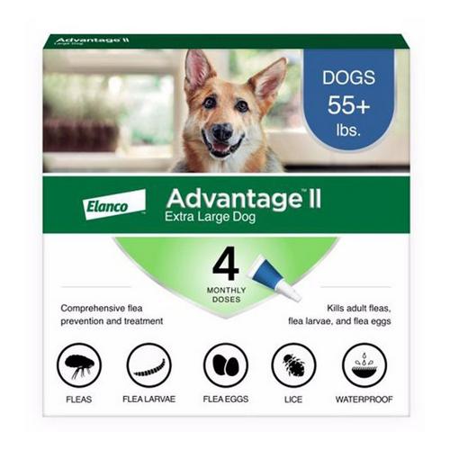 Advantage II 4 Month Flea Prevention - Primary Image