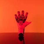 West Coast Goalkeeping Raptor Monarch Goalkeeper Gloves - Thumbnail 7 of 9