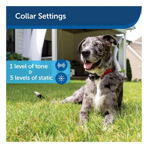 PetSafe Ultralight Receiver Collar - Primary Image