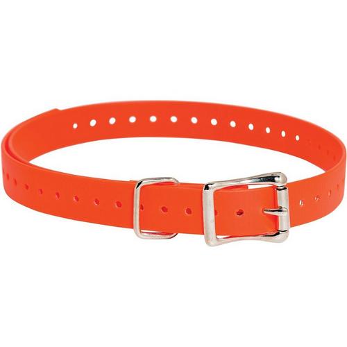 SportDOG E-Collar Replacement Strap - Primary Image