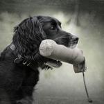 SportDOG Canvas Training Dummy with Rope - Thumbnail 4 of 4