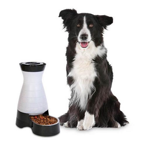 PetSafe Healthy Pet Food Station - Primary Image