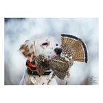 SportDOG UplandHunter 1875 Dog Training Bundle - Thumbnail 5 of 5