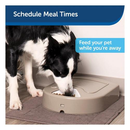 PetSafe 5 Meal Pet Feeder - Primary Image