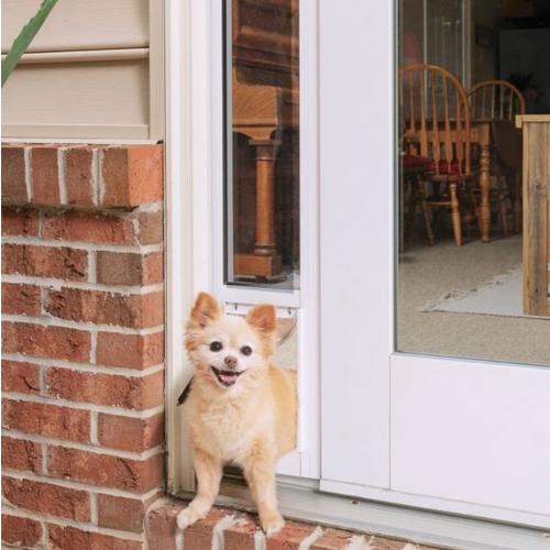 PetSafe Sliding Glass Pet Door, 2-Piece - Primary Image