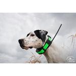SportDOG TEK Series 1.5 GPS Tracking + E-Collar System - TEK-V1.5LT - Thumbnail 2 of 2