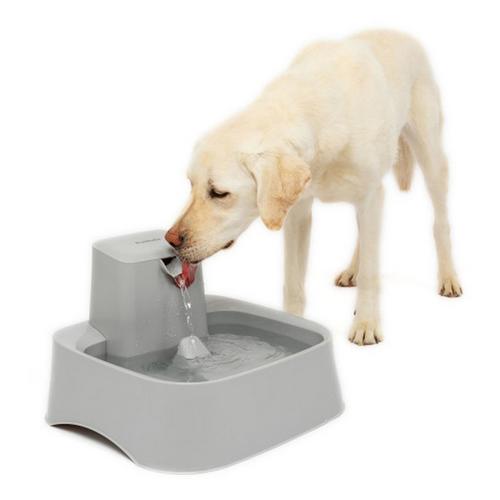 PetSafe Drinkwell 2 Gallon Pet Fountain - Primary Image