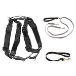 PetSafe 3 in 1 Harness with Two Point Control Leash - Thumbnail 2 of 3