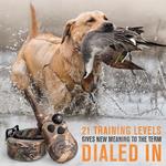 SportDOG WetlandHunter 425X Dog Training Bundle - Thumbnail 4 of 7