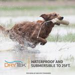 SportDOG WetlandHunter 425X Dog Training Bundle - Thumbnail 5 of 7