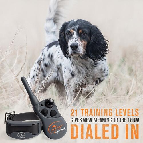 SportDOG SportHunter 825X Dog Training Bundle - Primary Image