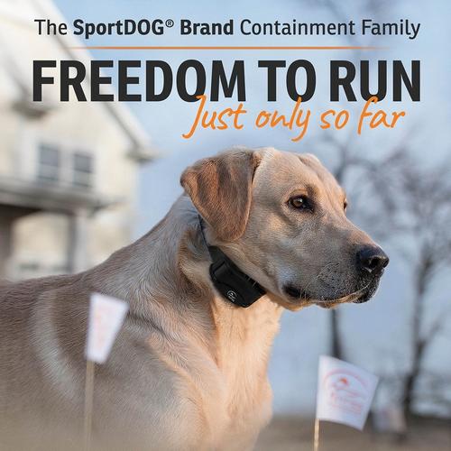 SportDOG Rechargeable In-Ground Fence System - Primary Image