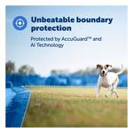 PetSafe Guardian GPS and Fence Dog Collar - Thumbnail 2 of 6