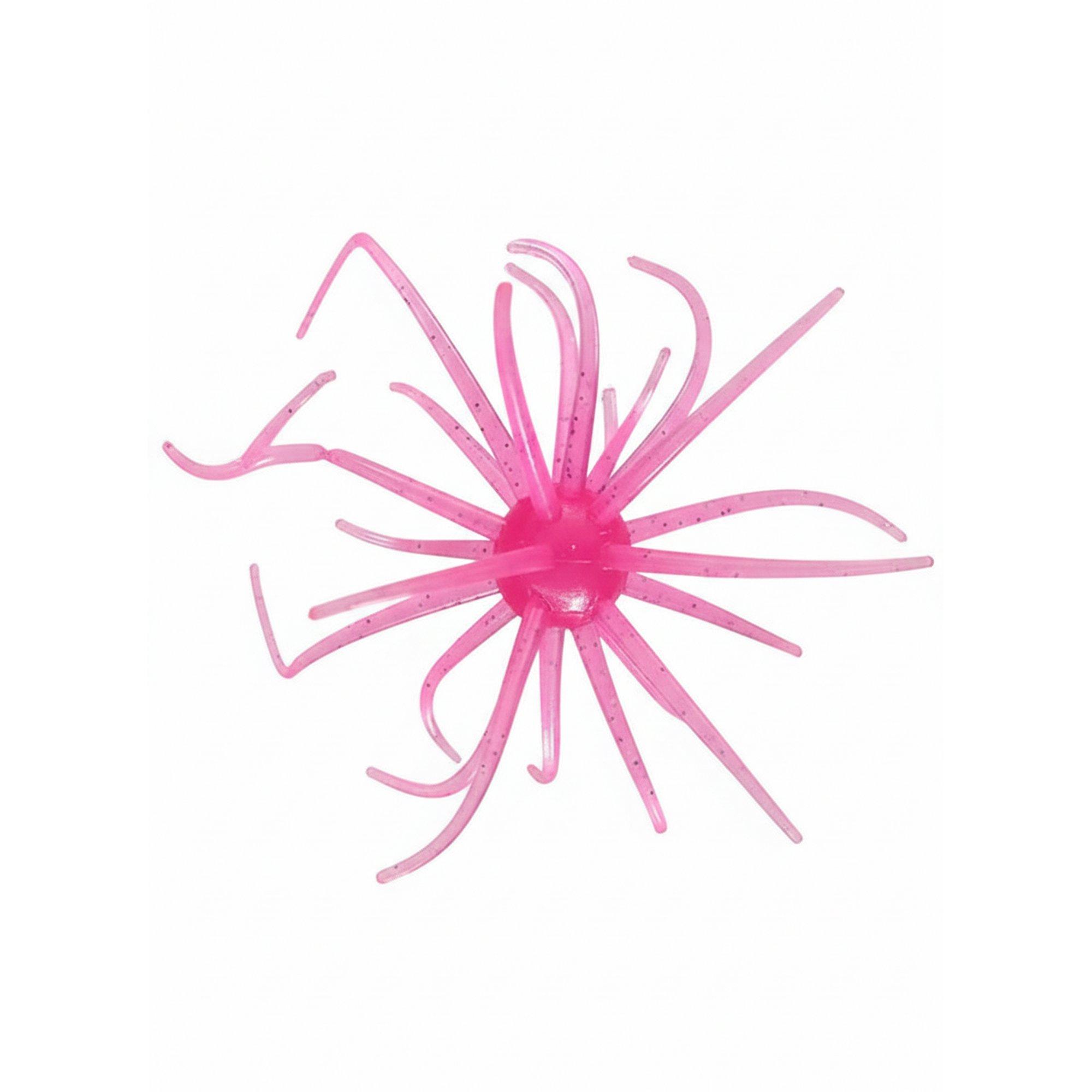 Palo Duro Purple - Hag's Prickly Pear Urchin Bait