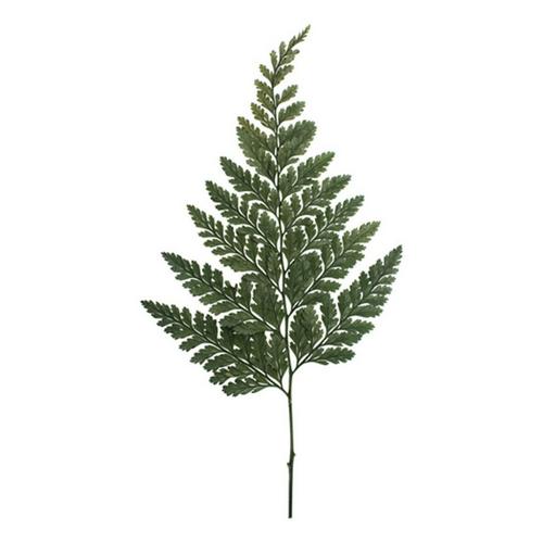 Vickerman Company 6-10" Green Fern Davalia - Primary Image