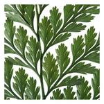 Vickerman Company 6-10" Green Fern Davalia - Thumbnail 4 of 4