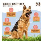 Natural Dog Company Super-Flora Probiotic Dog Supplement - Thumbnail 2 of 6