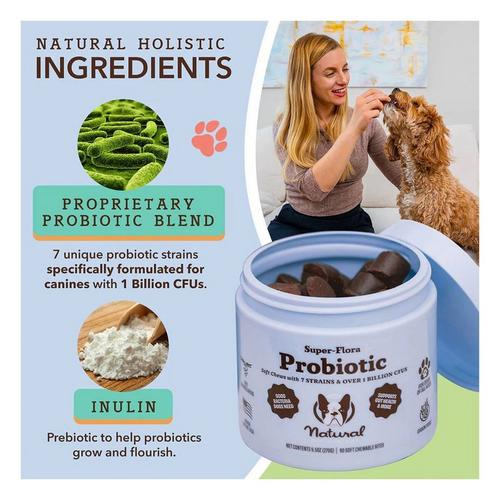 Natural Dog Company Super-Flora Probiotic Dog Supplement - Primary Image