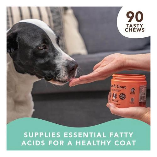 Natural Dog Company Skin & Coat Supplement Dog Chews - Primary Image