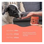Natural Dog Company Skin & Coat Supplement Dog Chews - Thumbnail 4 of 5