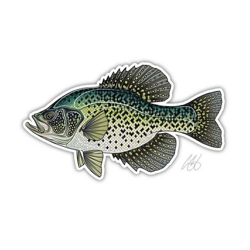 Casey Underwood Artwork Black Crappie Decal - Primary Image