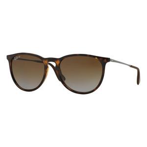 Ray-Ban Erika Polarized Sunglasses