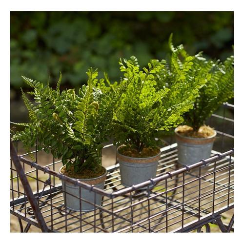 Melrose International Fern Plant in Tin Pot with Jute Accent (Set of 3) - Primary Image