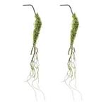 Melrose International Moss Foliage Vine Branch (Set of 2) - Thumbnail 1 of 4