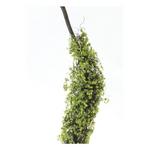 Melrose International Moss Foliage Vine Branch (Set of 2) - Thumbnail 3 of 4
