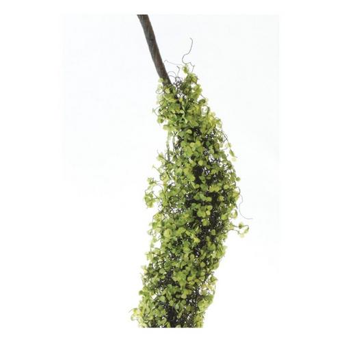 Melrose International Moss Foliage Vine Branch (Set of 2) - Primary Image