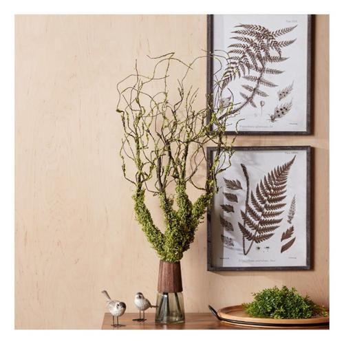 Melrose International Moss Foliage Vine Branch (Set of 2) - Primary Image