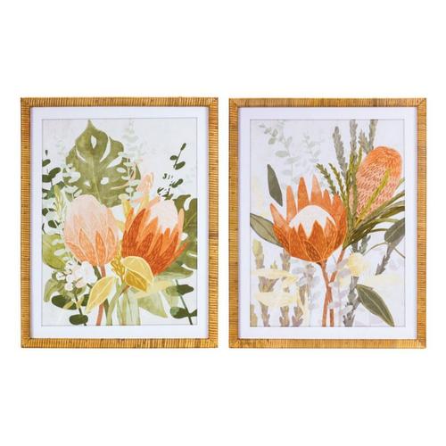 Melrose International Framed Protea Floral Wall Art (Set of 2) - Primary Image