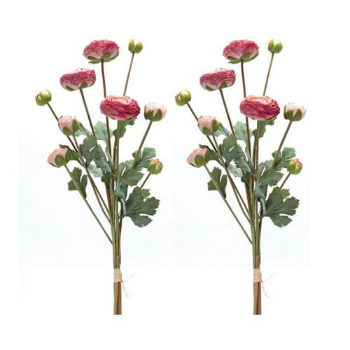 Melrose International Ranunculus Bundle (Set of 2) - Primary Image