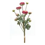 Melrose International Ranunculus Bundle (Set of 2) - Thumbnail 2 of 3