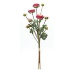 Melrose International Ranunculus Bundle (Set of 2) - Thumbnail 3 of 3