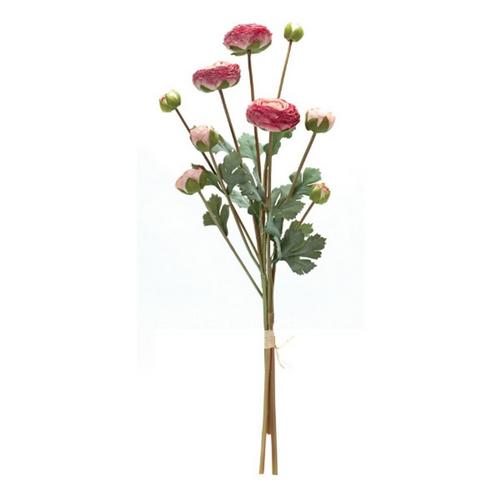Melrose International Ranunculus Bundle (Set of 2) - Primary Image