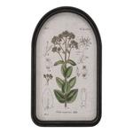 Melrose International Framed Floral Arch Print (Set of 2) - Thumbnail 2 of 3