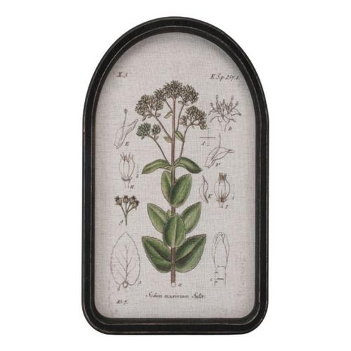 Melrose International Framed Floral Arch Print (Set of 2) - Primary Image