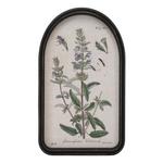 Melrose International Framed Floral Arch Print (Set of 2) - Thumbnail 3 of 3